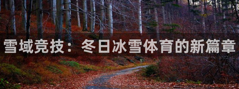 3377体育官方正版app五金厂:雪域竞技:冬日冰雪体育的新