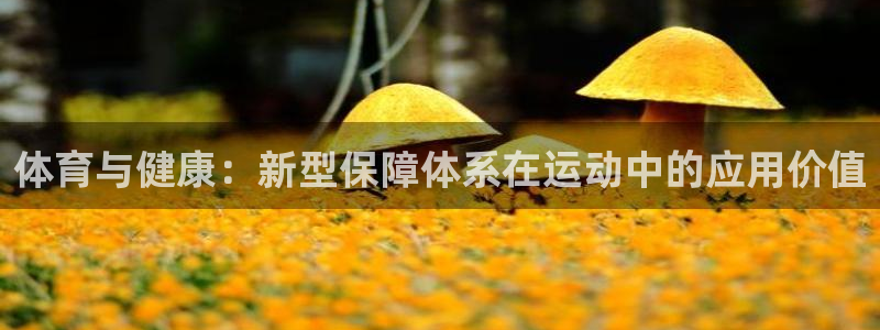 3377体育官方正版app娱乐40996:体育与健康:新型保